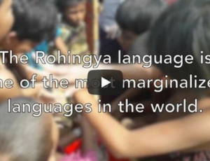 Rohingya refugee crisis video