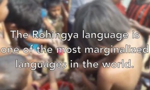 Rohingya refugee crisis video