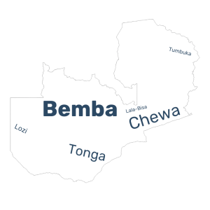 Zambia language data map