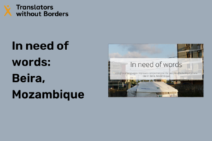 In need of words: Using local languages improves comprehension for people affected by Cyclone Idai in Beira, Mozambique